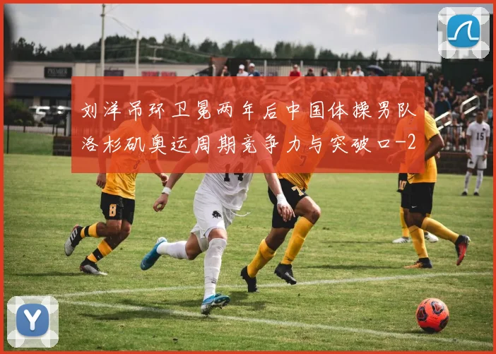 刘洋吊环卫冕两年后中国体操男队洛杉矶奥运周期竞争力与突破口