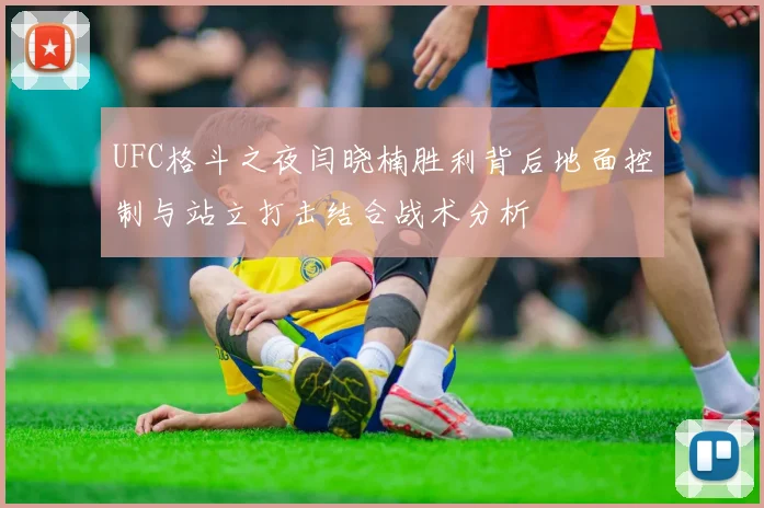 UFC格斗之夜闫晓楠胜利背后地面控制与站立打击结合战术分析