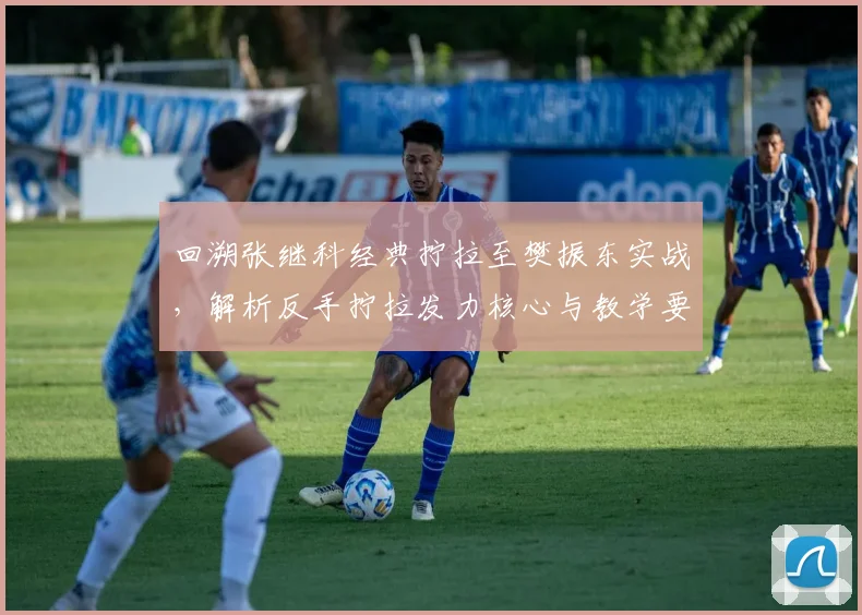 回溯张继科经典拧拉至樊振东实战，解析反手拧拉发力核心与教学要点