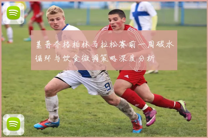 基普乔格柏林马拉松赛前一周碳水循环与饮食微调策略深度分析