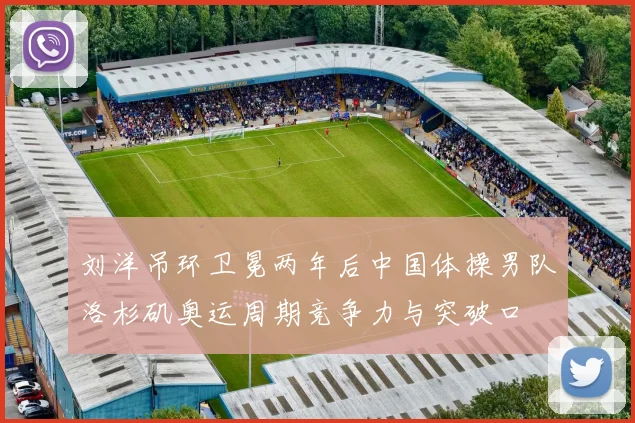 刘洋吊环卫冕两年后中国体操男队洛杉矶奥运周期竞争力与突破口