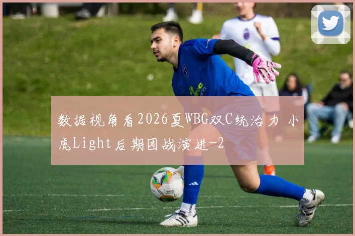 数据视角看2026夏WBG双C统治力 小虎Light后期团战演进